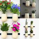 A Little Pop of Life 🌺