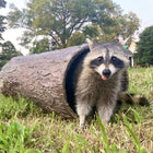 Hidden Hideaway 🌳  Large Weatherproof Hollow Log Hideout