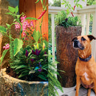 Country Farmhouse šæ  Herb Stand š¶