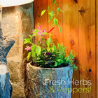 Country Farmhouse šæ  Herb Stand š¶