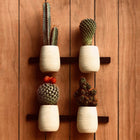 A Little Pop of Life 🌺