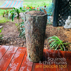 Natures Feast 🦆  Wild Bird, Squirrel & Critter Feeder