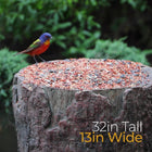 Natures Feast 🦆  Wild Bird, Squirrel & Critter Feeder