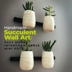 A Little Pop of Life 🌺