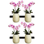 A Little Pop of Life 🌺