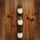 Wooded Mountain Owls 🦉