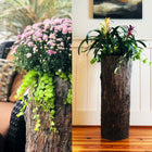 Farmhouse Porch & Patio Planter 🍂