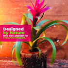 Bushy Box 🌺 Give It to Her with Love