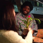 Bushy Box 🌺 Give It to Her with Love