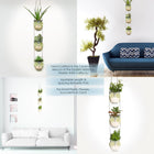 Wooded Mountain Owls 🦉