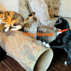 Kitty Stump 🐈  Hollow Log Cat Hideaway