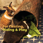 Hidden Hideaway 🌳  Large Weatherproof Hollow Log Hideout