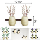 A Little Pop of Life 🌺