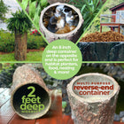 Kitty Stump 🐈  Hollow Log Cat Hideaway