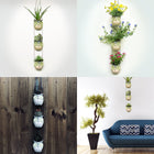 Wooded Mountain Owls 🦉