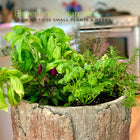 Country Farmhouse šæ  Herb Stand š¶