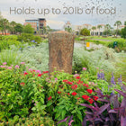 Natures Feast 🦆  Wild Bird, Squirrel & Critter Feeder