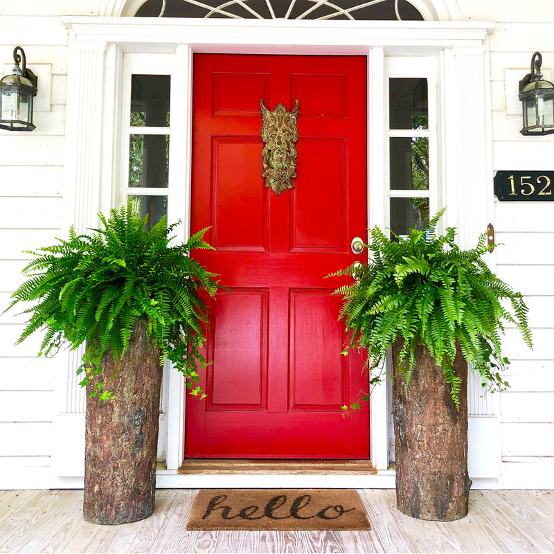Rustic Country Farmhouse Entryway Decor: Welcome Home with Style