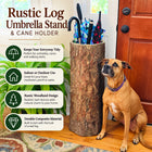 Country Stump 🌳  Vintage Farmhouse Umbrella Stand