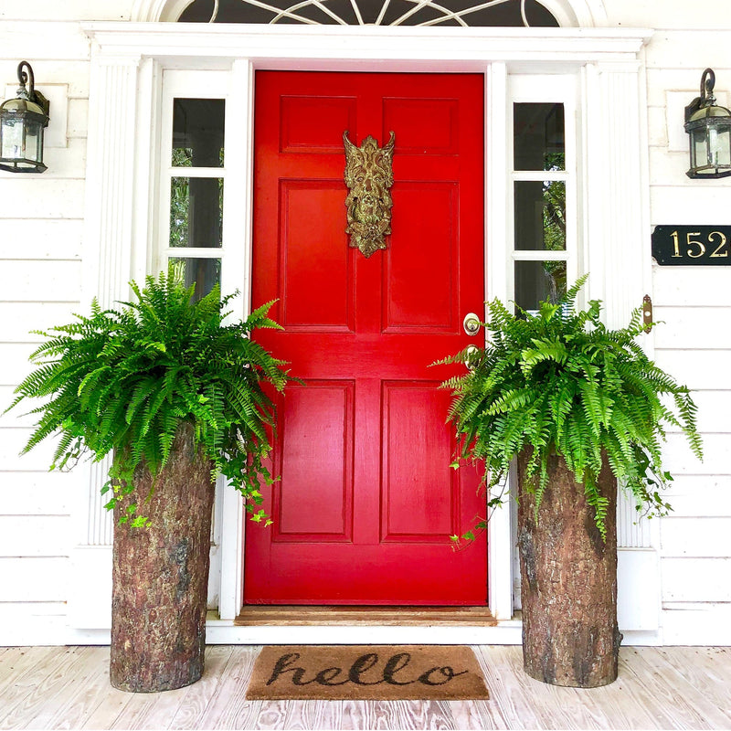 modern farmhouse plant pots Farmhouse Porch & Patio Planter π β BushyBox!