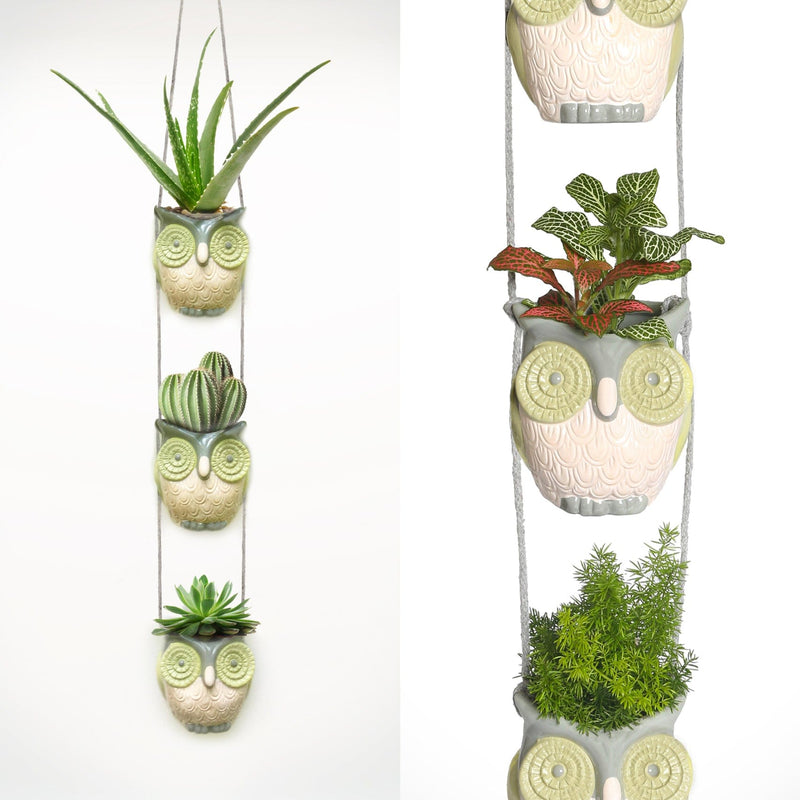 hanging owl planter Wooded Mountain Owls π¦ β BushyBox!