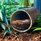 Hollow Hideaway 🌳  Large Tree Stump Reptile Hideout