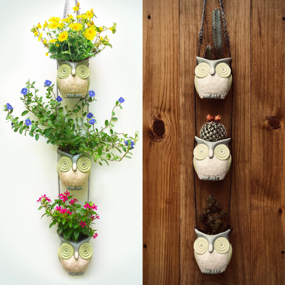 hanging owl planter Wooded Mountain Owls – BushyBox!