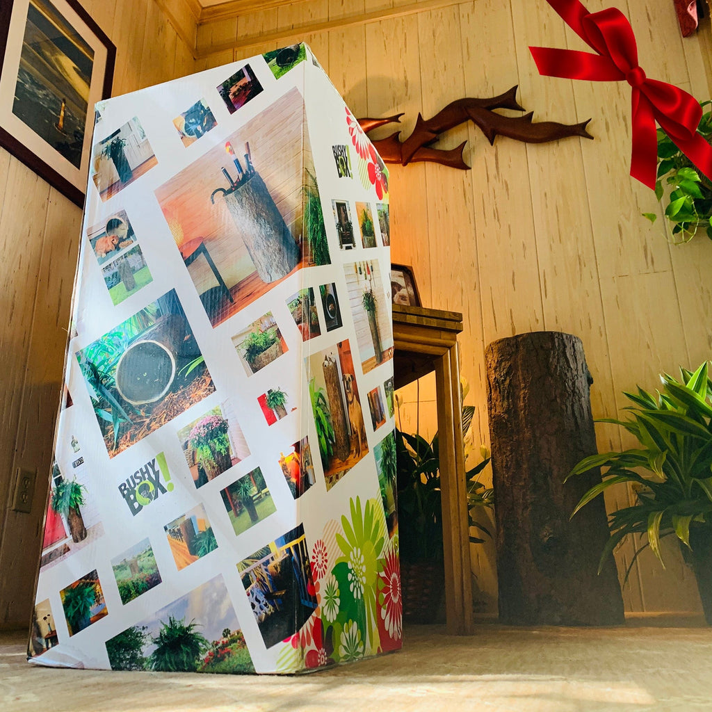 Country Container & Storage Stump 🌳 – BushyBox!